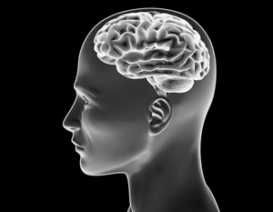Brain 48. Исследование мозга картинки. Мозг Японии. ИИ. Eazy Brain nonogram.