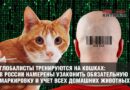 Глобалисты тренируются на кошках: в России намерены узаконить обязательную маркировку и учет всех домашних животных
