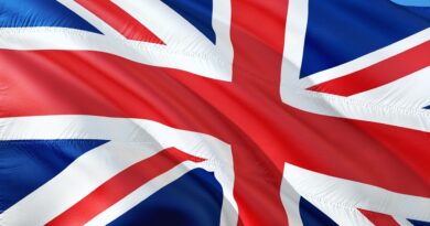 В Великобритании предлагают законодательно игнорировать решения ЕСПЧ