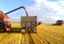 Урожай зерна в России побил исторический рекорд