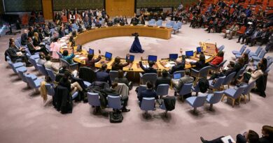 Генассамблея ООН приняла резолюцию России по борьбе с героизацией нацизма