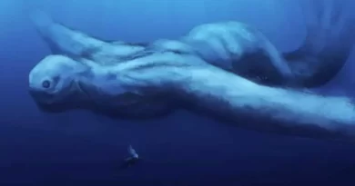 Нинген, гигантский монстр Антарктиды