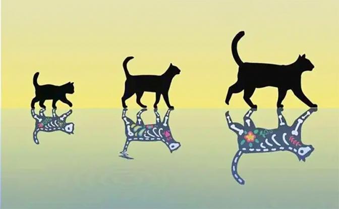 На фото: даже если вы не квантовый физик, вы наверняка слышали о знаменитом коте Шрёдингера. В мысленном эксперименте 1935 года Эрвин Шредингер предположил, что кошки могут быть живыми и мертвыми одновременно. Очевидно, это очень противоречиво. (Фото: zhuanlan.zhihu.com)