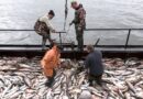 Депутаты денонсировали соглашение с Великобританией о рыболовстве