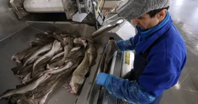 Активы семи дальневосточных рыбопромышленных компаний перешли государству