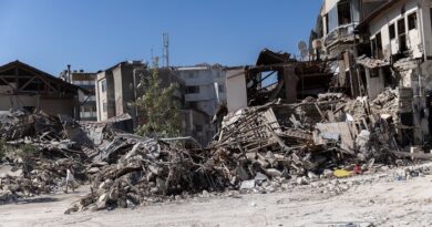 Землетрясение в Турции организовали США?