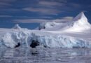 Геолог Богоявленский: захороненные льды опаснее вечной мерзлоты