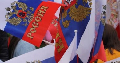 Министерство патриотического воспитания может появиться в РФ